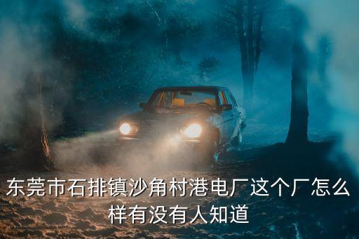 東莞石排港電廠怎么樣，東莞石排有沒有好一點的電子廠