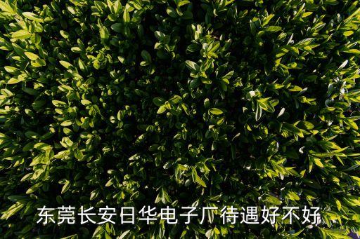 東莞長安日華電子廠待遇好不好