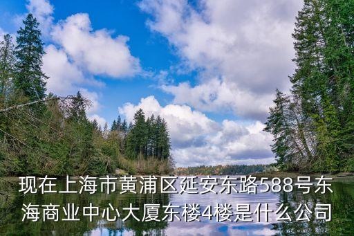 現在上海市黃浦區延安東路588號東海商業中心大廈東樓4樓是什么公司