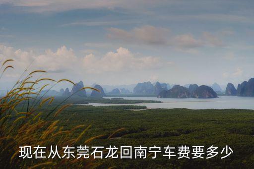 現在從東莞石龍回南寧車費要多少
