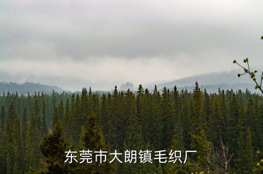 東莞市大朗鎮(zhèn)毛織廠
