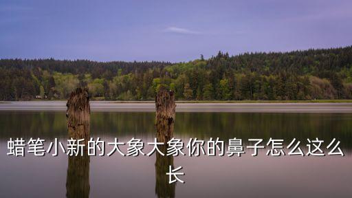 大象圖片卡通，蠟筆小新的大象大象你的鼻子怎么這么長