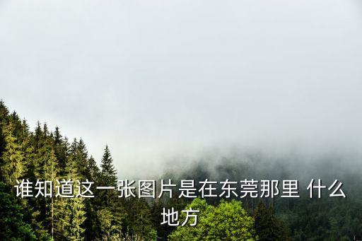 誰知道這一張圖片是在東莞那里 什么地方
