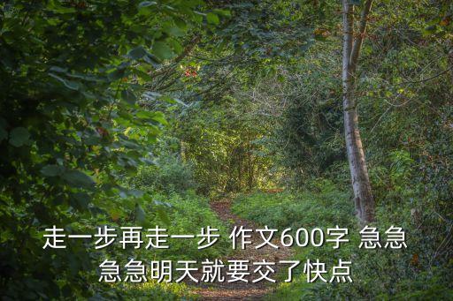 走一步再走一步作文600字，走一步再走一步 作文600字