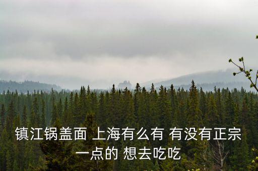 上海市鎮江鍋蓋面長逸路店，鎮江鍋蓋面 上海有么有 有沒有正宗一點的 想去吃吃