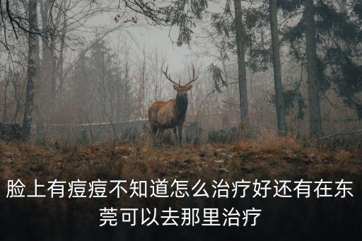 東莞青春痘如薦口岸，東莞在哪里祛痘最好臉上滿臉的痘痘找工作都找不到