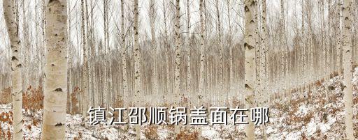 鎮(zhèn)江邵順鍋蓋面在哪