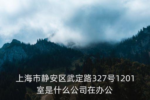 上海市靜安區武定路327號1201室是什么公司在辦公