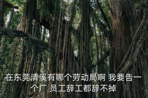 在東莞清溪有哪個勞動局啊 我要告一個廠 員工辭工都辭不掉