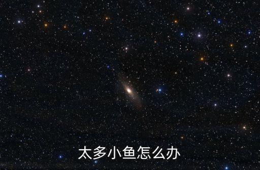 太多小魚怎么辦