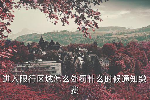 進入限行區域怎么處罰什么時候通知繳費