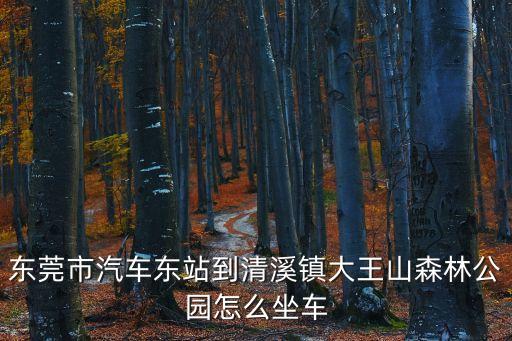 東莞市汽車東站到清溪鎮大王山森林公園怎么坐車