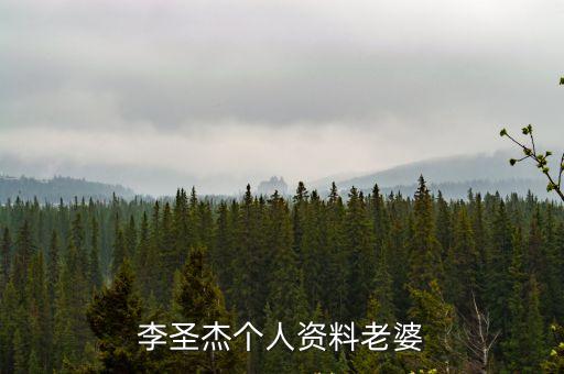 李圣杰個人資料老婆