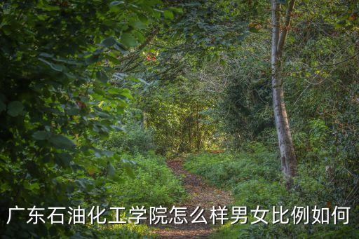 廣東石油化工學院怎么樣男女比例如何