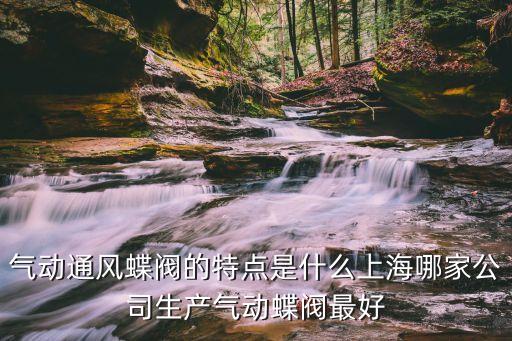 氣動通風蝶閥的特點是什么上海哪家公司生產氣動蝶閥最好