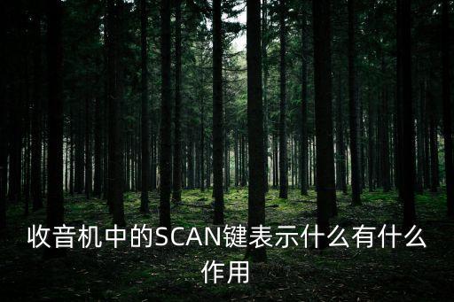 掃描英文，收音機中的SCAN鍵表示什么有什么作用