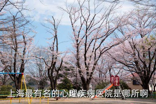 上海最有名的心理疾病醫院是哪所啊