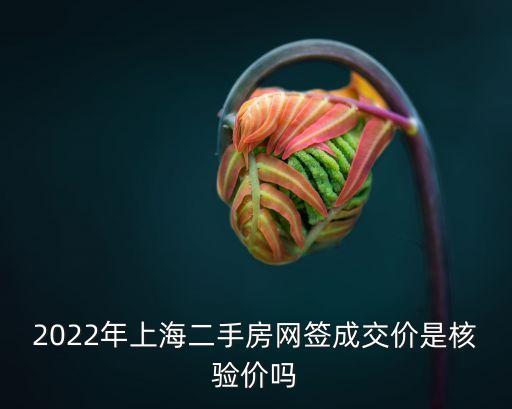 上海市計稅核驗價，上海涉稅核驗價審核時間