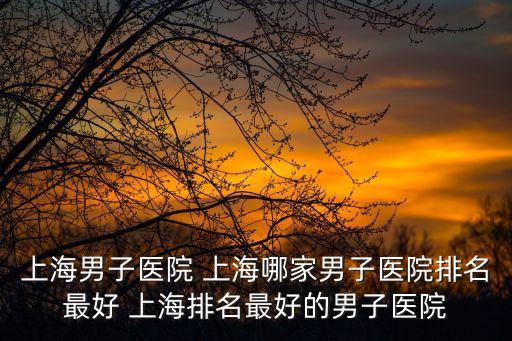 男子騎車旅行沒出上海市，一個人從北京到上海騎行位移是1200 又往北京走了600請問位移是多少
