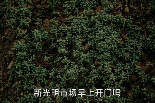 東莞新光明市場在哪，新光明市場早上開門嗎