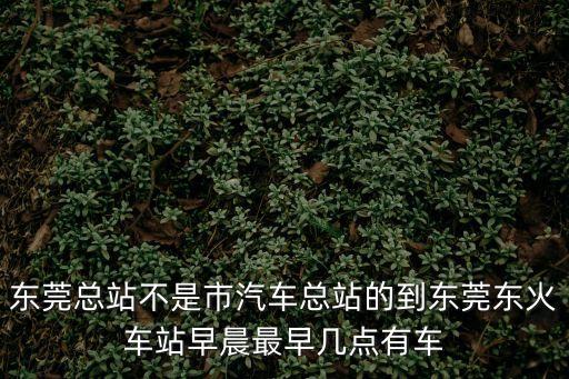 東莞總站不是市汽車總站的到東莞東火車站早晨最早幾點(diǎn)有車