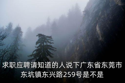 求職應(yīng)聘請(qǐng)知道的人說下廣東省東莞市東坑鎮(zhèn)東興路259號(hào)是不是