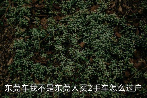 東莞車我不是東莞人買2手車怎么過戶