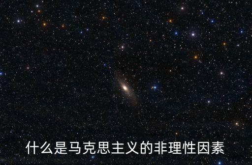 非理性因素，關于理性非理性因素的問題