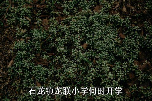 石龍鎮龍聯小學何時開學