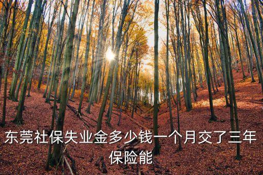 東莞社保失業金多少錢一個月交了三年保險能