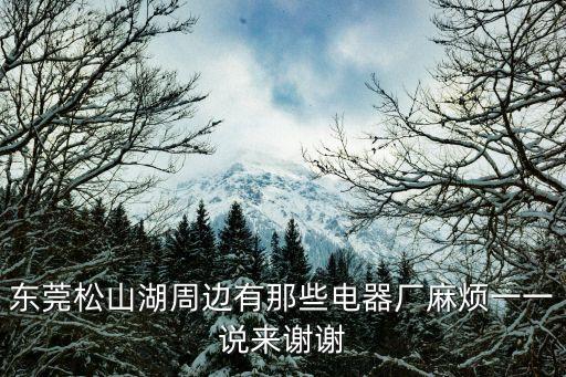 東莞松山湖周邊有那些電器廠麻煩一一說(shuō)來(lái)謝謝