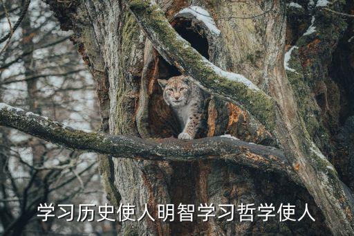 學習歷史使人明智學習哲學使人