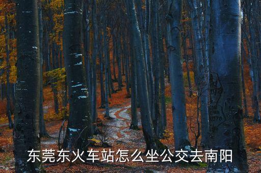 東莞那個站到南陽大巴，東莞哪個車站有到河南南陽的臥鋪車票