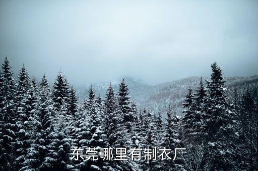 東莞哪里有制衣廠