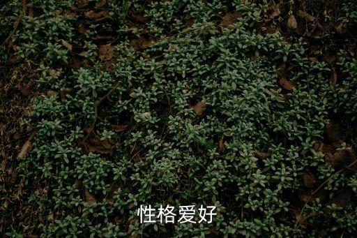 性格愛好
