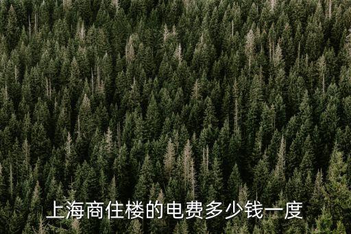 上海商住樓的電費多少錢一度