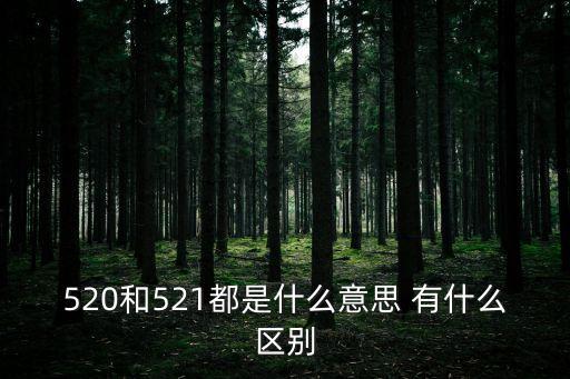 520和521，520和521都是什么意思 有什么區別