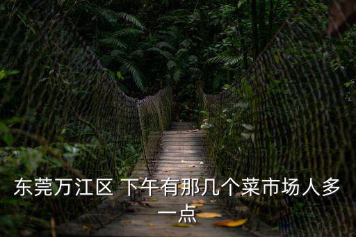東莞人多的菜市場，東莞東城區哪個肉菜市場人流量最大