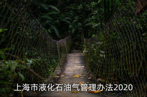 上海市液化石油氣管理辦法2020