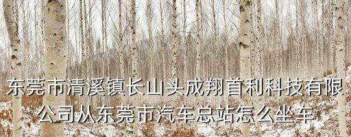 東莞市清溪鎮(zhèn)長(zhǎng)山頭成翔首利科技有限公司從東莞市汽車總站怎么坐車