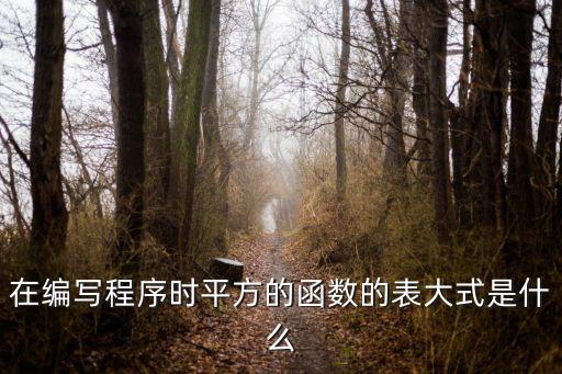 在編寫程序時平方的函數的表大式是什么