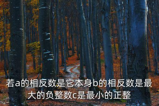 若a的相反數(shù)是它本身b的相反數(shù)是最大的負整數(shù)c是最小的正整