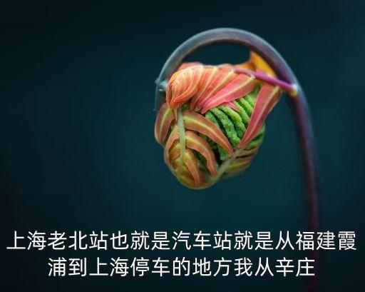 上海市辛莊立交，上海閔行區坐幾路車到辛莊