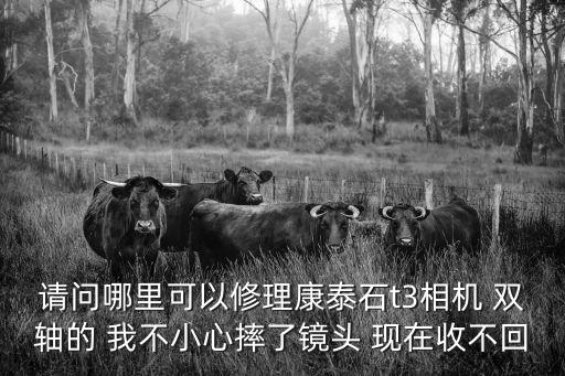 請問哪里可以修理康泰石t3相機 雙軸的 我不小心摔了鏡頭 現在收不回