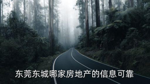 東莞東城哪家房地產的信息可靠