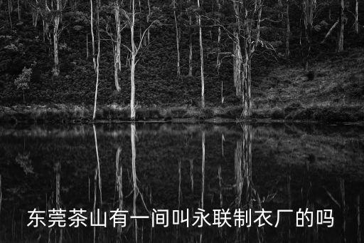 東莞永聯(lián)制衣有限公司，東莞茶山有一間叫永聯(lián)制衣廠的嗎