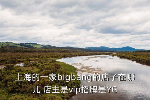 上海市big bamboo 金橋店，上海的一家bigbang的店子在哪兒 店主是vip招牌是YG