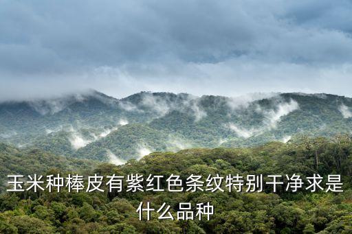 上海市農科院甜玉米，玉米種棒皮有紫紅色條紋特別干凈求是什么品種