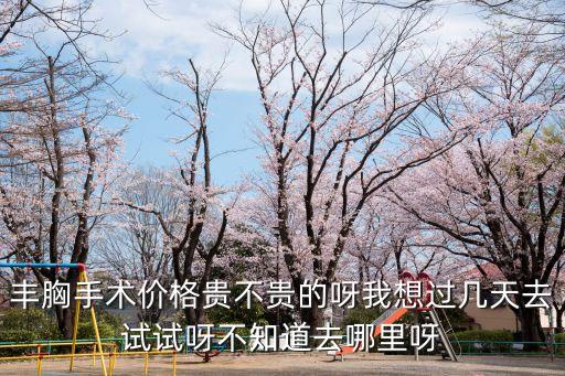 豐胸手術價格貴不貴的呀我想過幾天去試試呀不知道去哪里呀