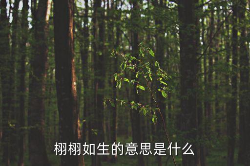 栩栩如生的意思是什么